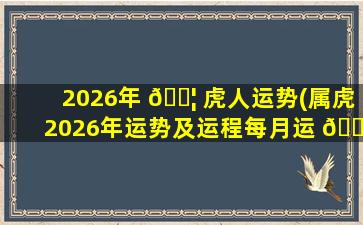 2026年 🐦 虎人运势(属虎2026年运势及运程每月运 🐕 程)